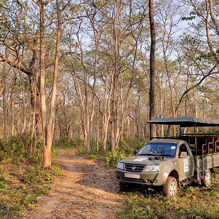 Tigerland Safari - A Lemon Tree Resort, Chitwan, Nepal Patlahara Eksteriør bilde