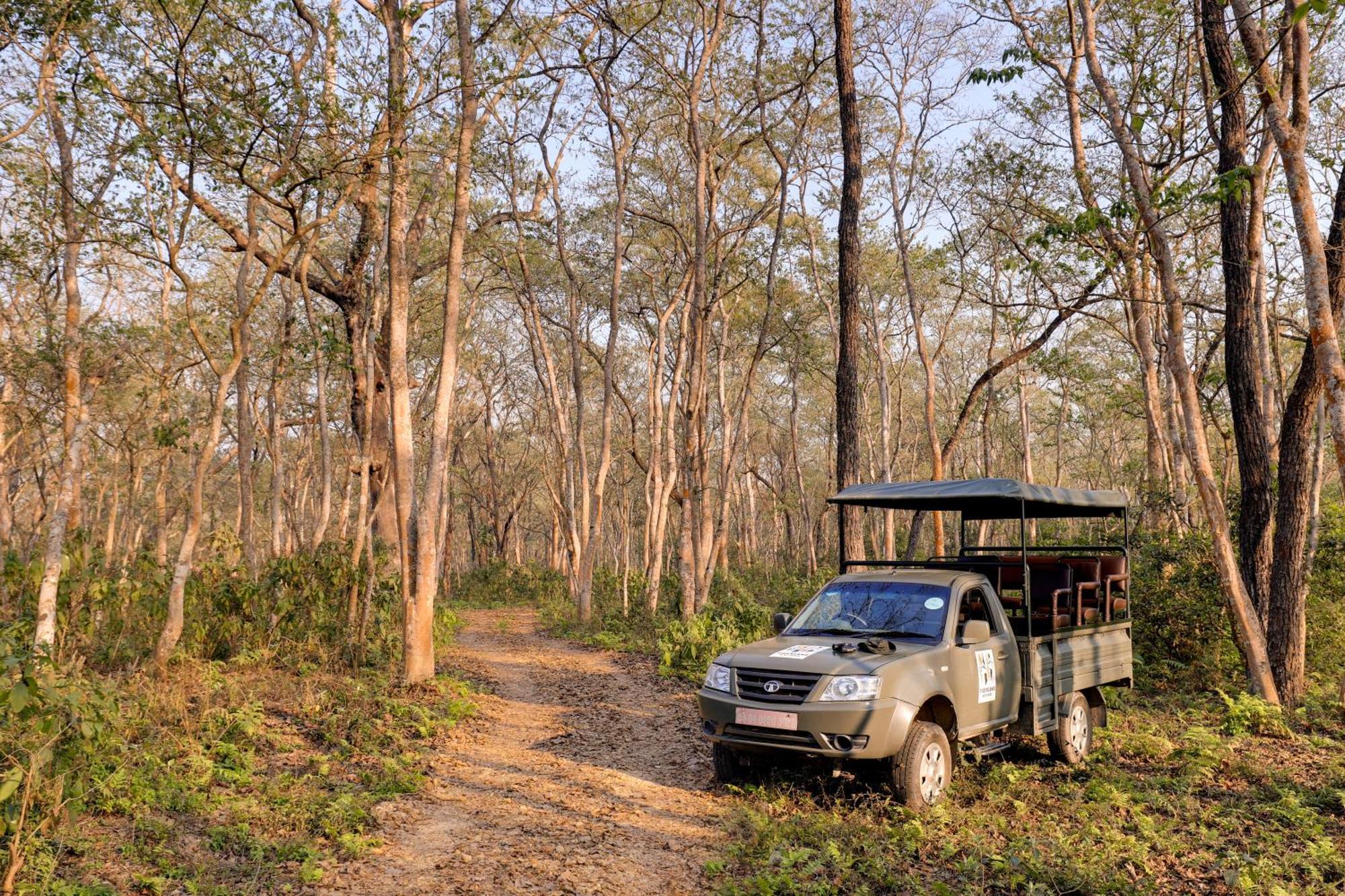Tigerland Safari - A Lemon Tree Resort, Chitwan, Nepal Patlahara Eksteriør bilde