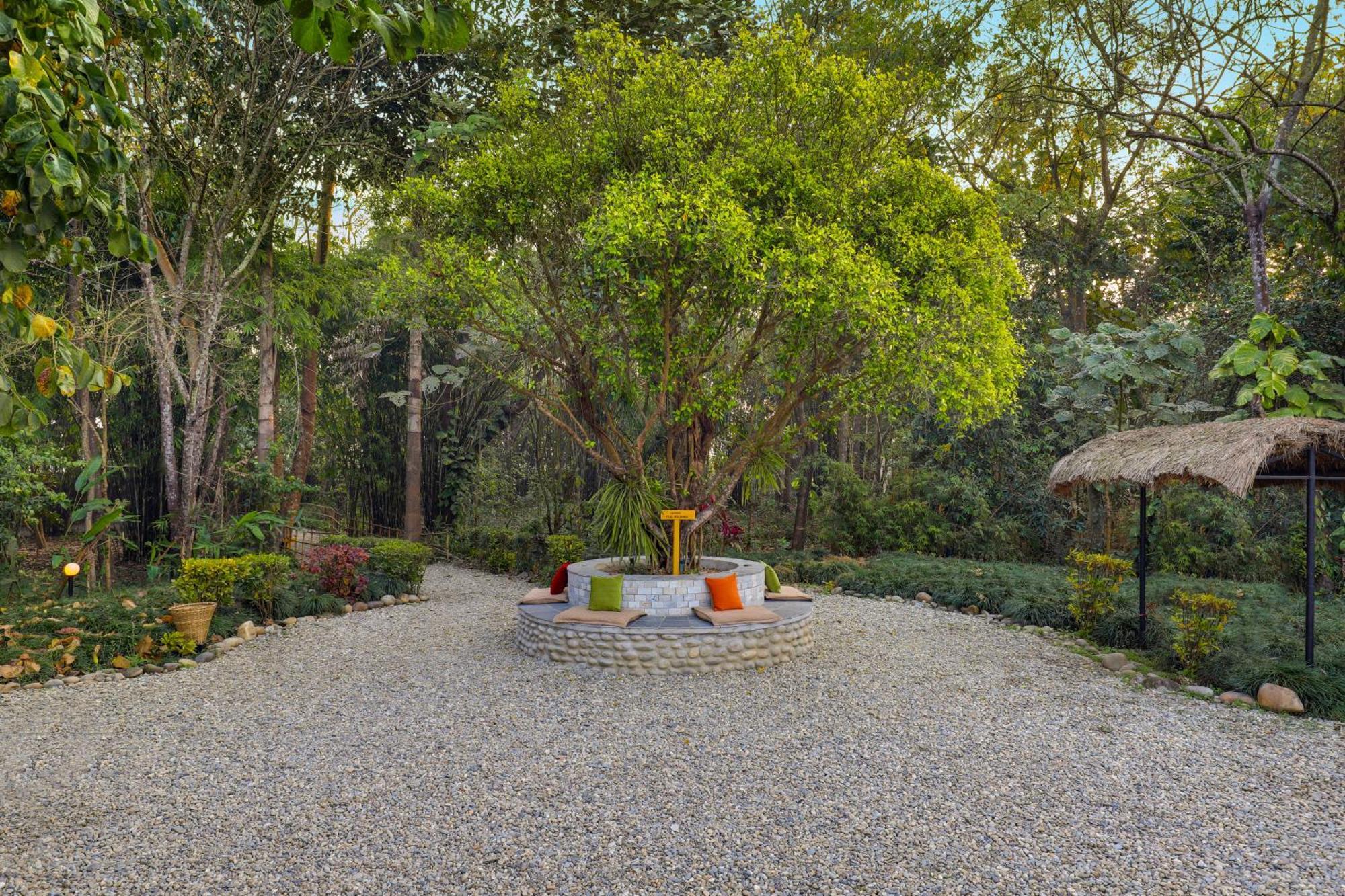 Tigerland Safari - A Lemon Tree Resort, Chitwan, Nepal Patlahara Eksteriør bilde