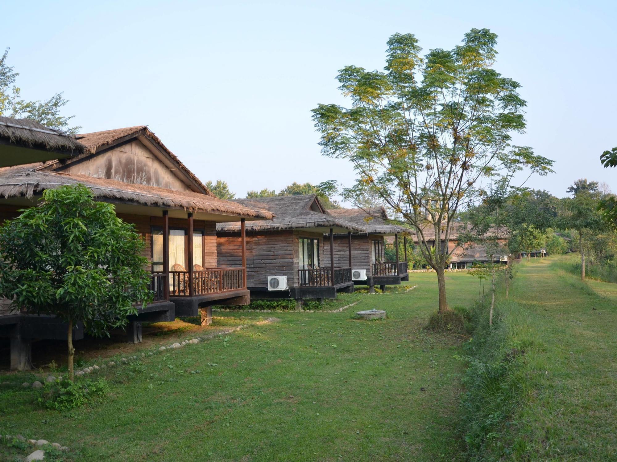 Tigerland Safari - A Lemon Tree Resort, Chitwan, Nepal Patlahara Eksteriør bilde